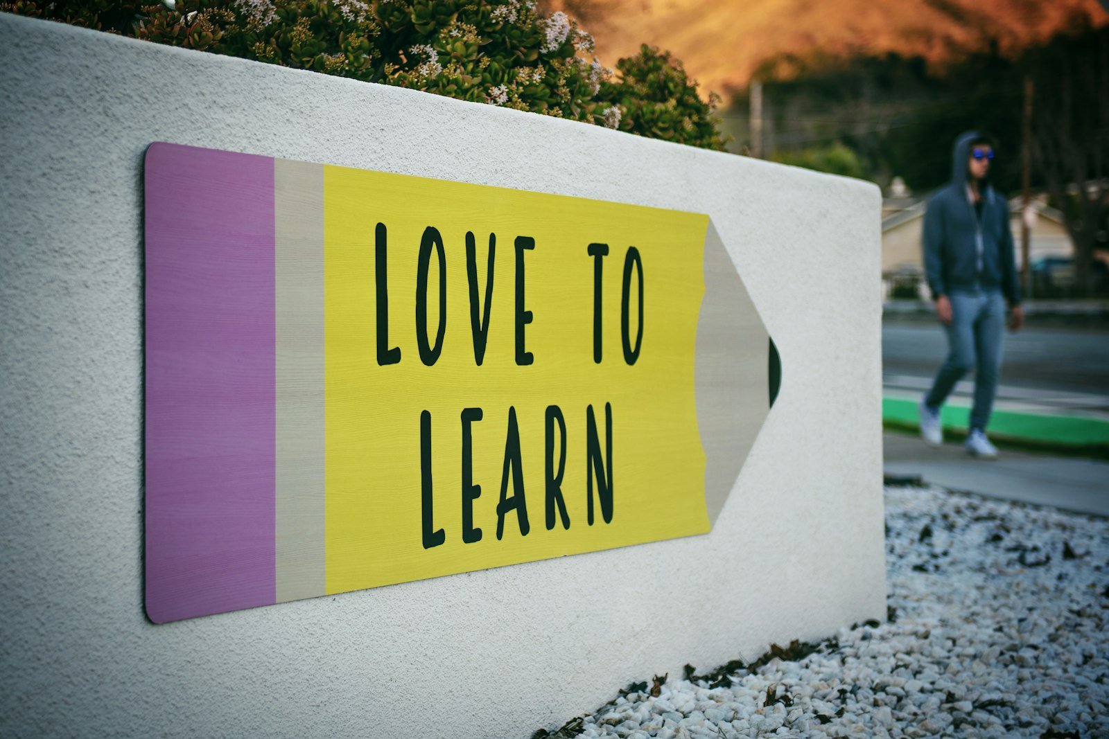 Educational Leadership and School Management